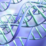 Расшифровка генома человека