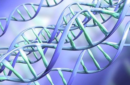 Расшифровка генома человека